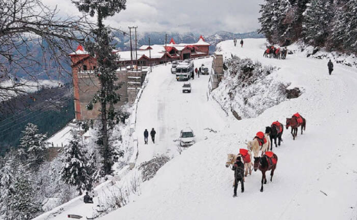 Chandigarh Shimla Manali Tour